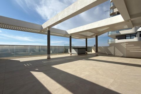 Penthauss pārdošanā Benidorm, Alicante, Spānijā 3 istabas, 304 m2 Nr. 165948 - attēls 30