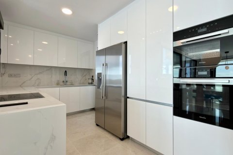 Penthauss pārdošanā Benidorm, Alicante, Spānijā 3 istabas, 304 m2 Nr. 165948 - attēls 2