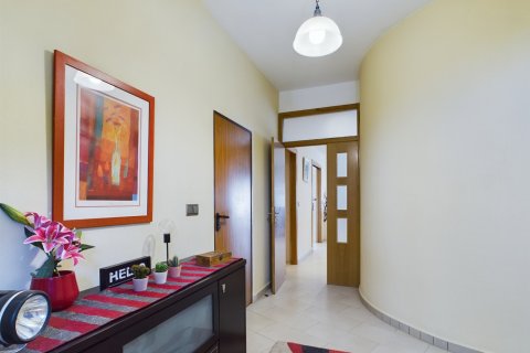 Villa in vendita a Dolores De Pacheco, Murcia, Spagna 3 camere da letto,  N° 146264 - foto 2