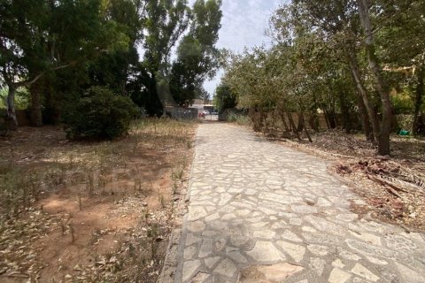 Land zum Verkauf in Denia, Alicante, Spanien 3294 m2 Nr. 157864 - Foto 9