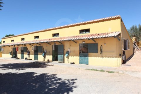 House à vendre à Betera, Valencia, Espagne, 7 chambres, 867 m2 No. 159880 - photo 4