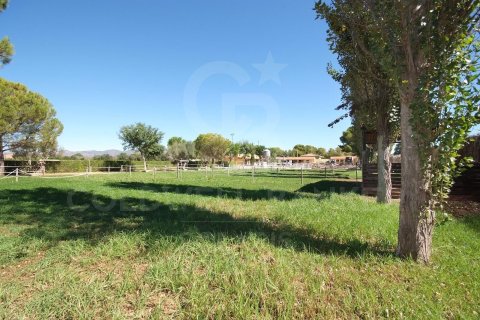 House à vendre à Betera, Valencia, Espagne, 7 chambres, 867 m2 No. 159880 - photo 30