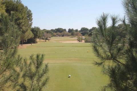 Villa en venta Pilar de la Horadada, Alicante, España 3 dormitorios, 81 m2 No. 138525 - foto 26