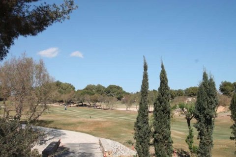 Villa en venta Pilar de la Horadada, Alicante, España 3 dormitorios, 81 m2 No. 138525 - foto 24