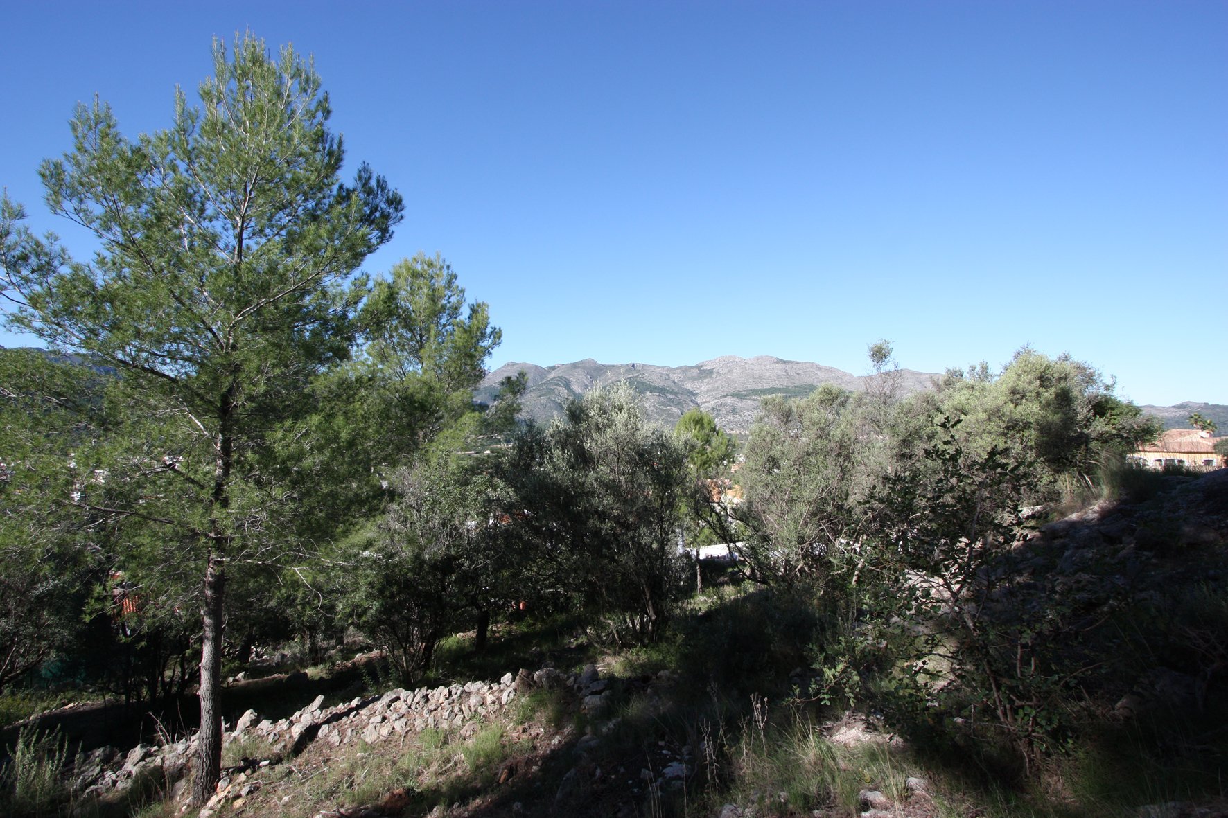 Terreno a Orba, Alicante, Spagna N° 183941