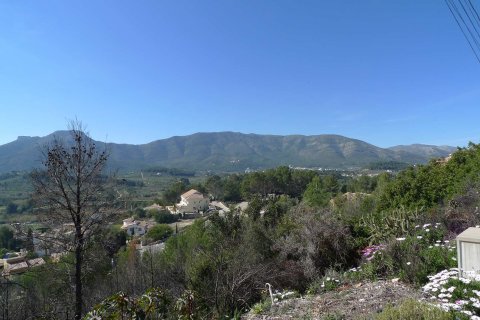Terreno a Alcalali, Alicante, Spagna N° 183943