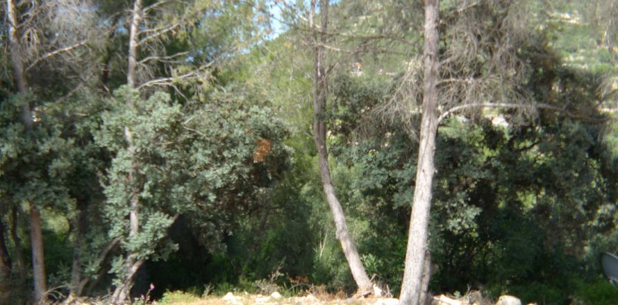 Zemes gabals Alcalali, Alicante, Spānijā Nr. 183944