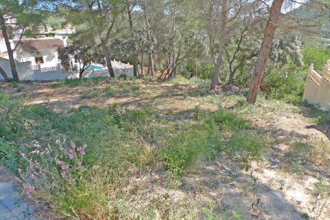 Zemes gabals pārdošanā Alcalali, Alicante, Spānijā Nr. 183944 - attēls 4
