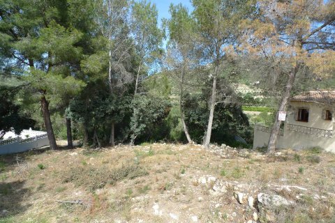 Zemes gabals pārdošanā Alcalali, Alicante, Spānijā Nr. 183944 - attēls 3