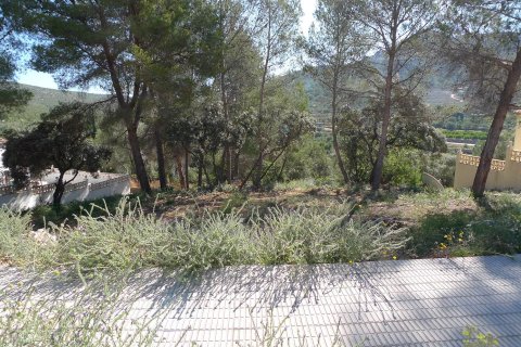 Zemes gabals pārdošanā Alcalali, Alicante, Spānijā Nr. 183944 - attēls 7