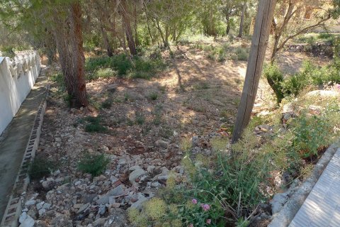 Zemes gabals pārdošanā Alcalali, Alicante, Spānijā Nr. 183944 - attēls 6