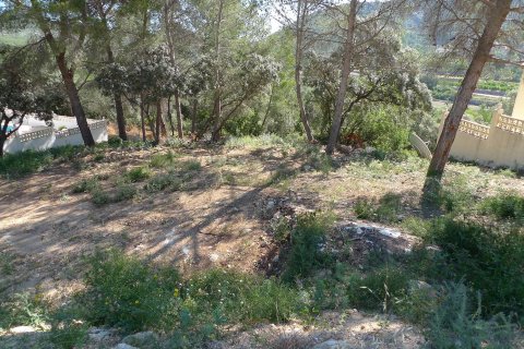 Zemes gabals pārdošanā Alcalali, Alicante, Spānijā Nr. 183944 - attēls 5