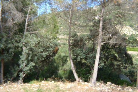 Zemes gabals pārdošanā Alcalali, Alicante, Spānijā Nr. 183944 - attēls 2