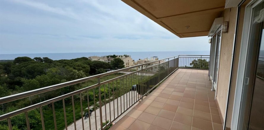 Apartamento en Sant Feliu de Guíxols, Gerona, España 2 dormitorios, No. 141194