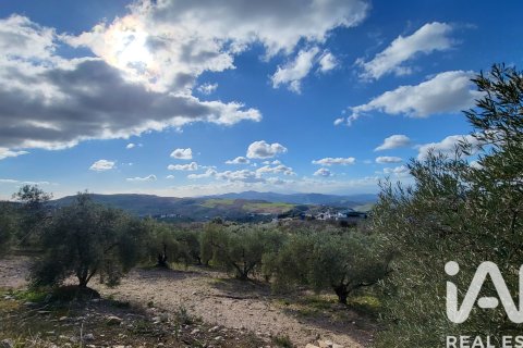 Hus till salu i Antequera, Malaga, Spanien 3 sovrum, 200 kvm. Nr. 152300 - foto 30