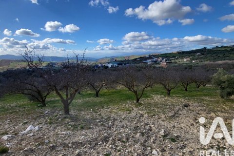 Hus till salu i Antequera, Malaga, Spanien 3 sovrum, 200 kvm. Nr. 152300 - foto 22