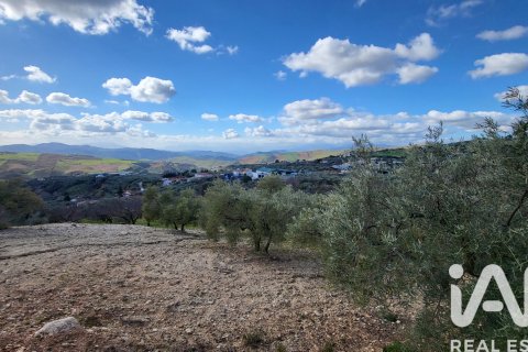 Hus till salu i Antequera, Malaga, Spanien 3 sovrum, 200 kvm. Nr. 152300 - foto 21