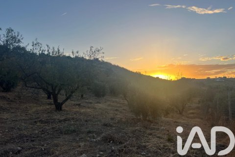 Hus till salu i Antequera, Malaga, Spanien 3 sovrum, 200 kvm. Nr. 152300 - foto 20