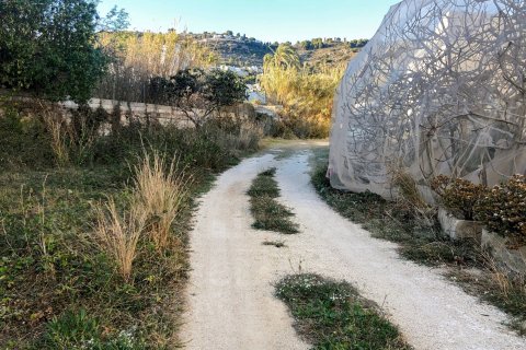 Liikekiinteistö myytävänä Javea, Alicante, Espanja , 3800 m2 No. 160185 - kuva 12