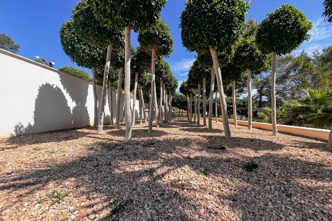 Villa en venta en Palmanova, Mallorca, España 5 dormitorios, 508 m2 No. 143528 - foto 26