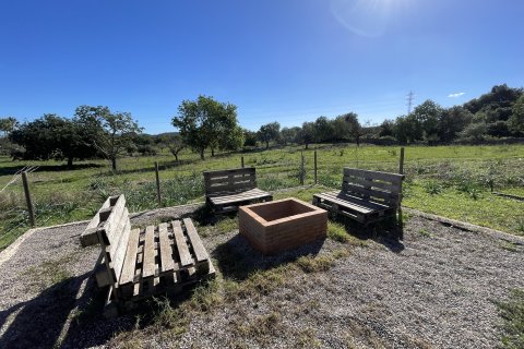 Finca in affitto a Arta, Mallorca, Spagna 3 camere da letto, 250 mq. N° 147383 - foto 22