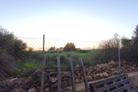 Proprietà commerciale in affitto a Llucmajor, Mallorca, Spagna 428 mq. N° 147384 - foto 12