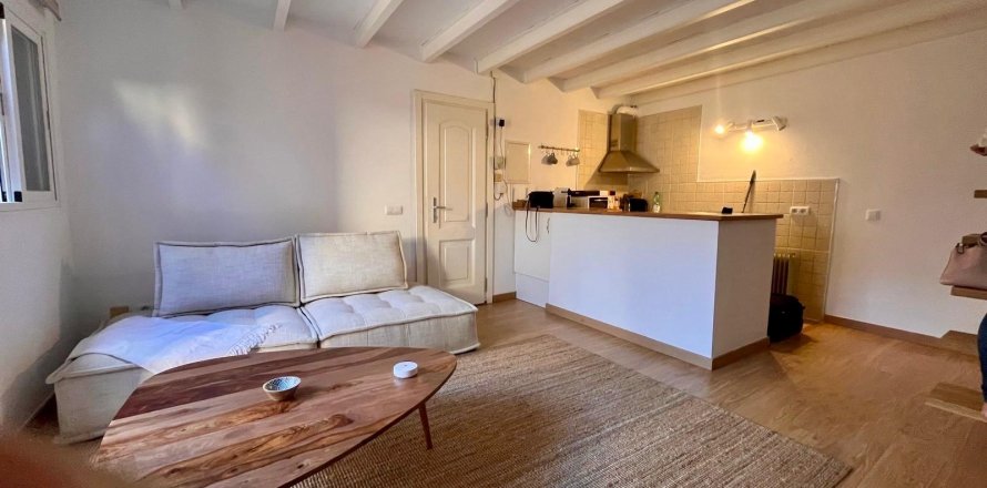 Penthouse w Palma de Majorca, Mallorca, Hiszpania 1 sypialnia, 50 mkw. nr 147381