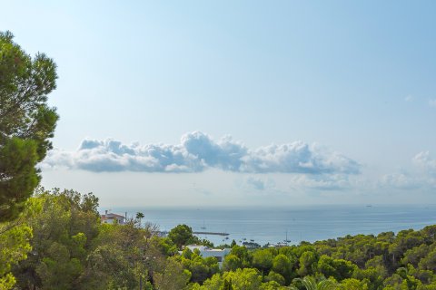 Villa a Costa D'en Blanes, Mallorca, Spagna 4 camere da letto, 249 mq. N° 147380