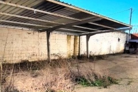 Commercial property for sale in Santovenia de la Valdoncina, Leon, Spain 1840 sq.m. No. 172288 - photo 21