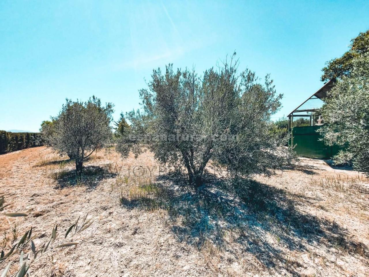 Villa in Caniles, Granada, Spanien 5 Schlafzimmer, 580 m2 Nr. 113122
