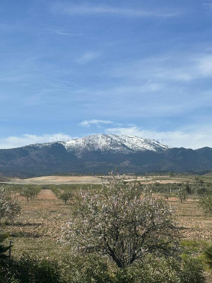 Villa in Caniles, Granada, Spanien 5 Schlafzimmer, 580 m2 Nr. 113122