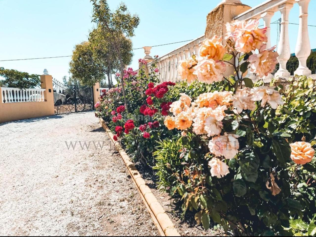 Villa in Caniles, Granada, Spanien 5 Schlafzimmer, 580 m2 Nr. 113122