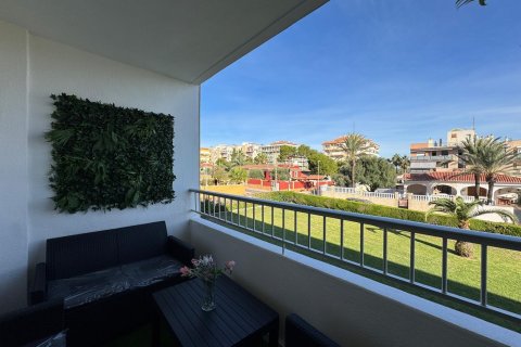 Apartament Torrevieja, Alicante, Hiszpania 2 sypialnie, 92 mkw. nr 139864 – zdjęcie 22