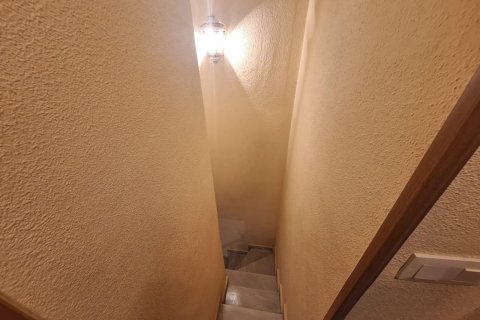 Apartment for rent in Torrevieja, Alicante, Spain 54 sq.m. No. 139866 - photo 7