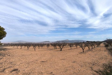 Villa for sale in Monovar, Alicante, Spain 3 bedrooms, 155 sq.m. No. 150166 - photo 17