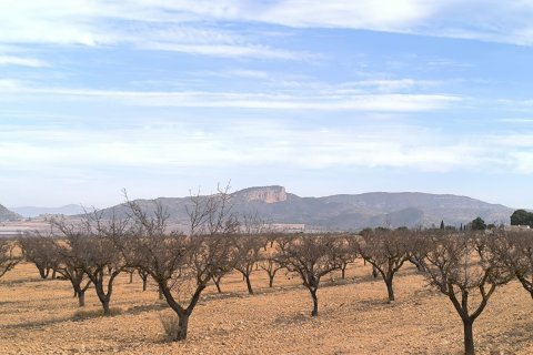 Villa for sale in Monovar, Alicante, Spain 3 bedrooms, 155 sq.m. No. 150166 - photo 20