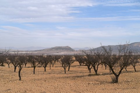 Villa for sale in Monovar, Alicante, Spain 3 bedrooms, 155 sq.m. No. 150166 - photo 18