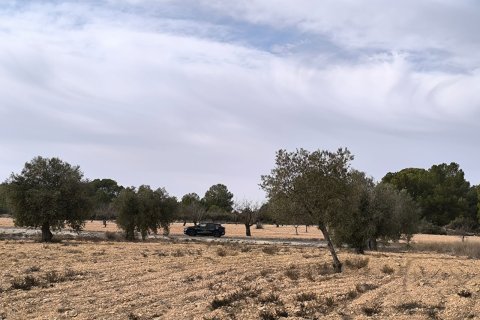 Villa for sale in Monovar, Alicante, Spain 3 bedrooms, 155 sq.m. No. 150166 - photo 12