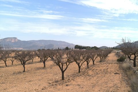 Villa for sale in Monovar, Alicante, Spain 3 bedrooms, 155 sq.m. No. 150166 - photo 19