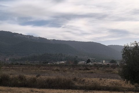 Villa for sale in Monovar, Alicante, Spain 3 bedrooms, 155 sq.m. No. 150166 - photo 14