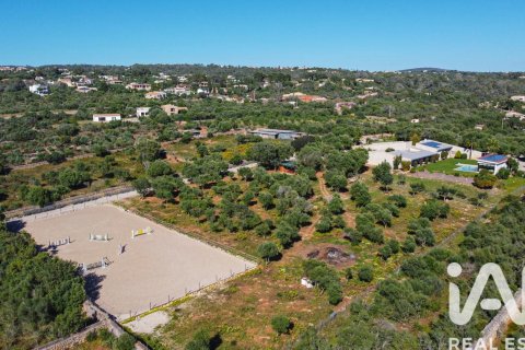 Hus till salu i Mallorca, Spanien 6 sovrum, 576 kvm. Nr. 172534 - foto 28