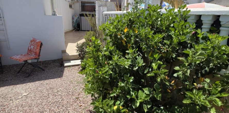 House in Torrevieja, Alicante, Spanien 44 m2 Nr. 196546