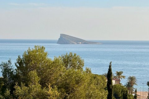 Wohnung zum Verkauf Benidorm, Alicante, Spanien 3 Schlafzimmer, 194 m2 Nr. 109203 - Foto 1