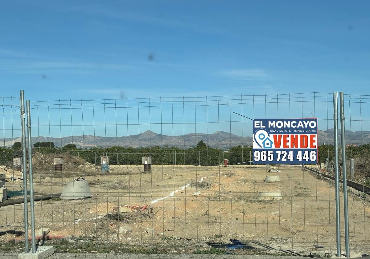 Land plot à Orihuela, Alicante, Espagne No. 183862