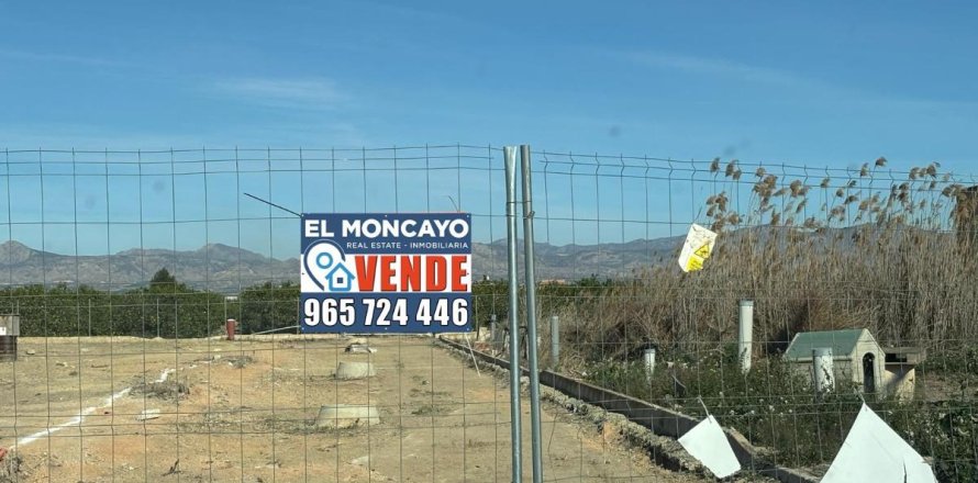 Terreno a Orihuela, Alicante, Spagna N° 183862