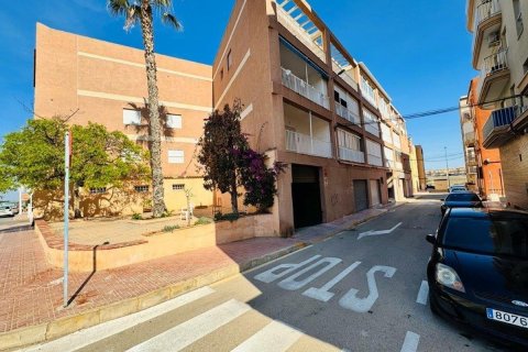 Lägenhet i Torrevieja, Alicante, Spanien 1 sovrum, 56 kvm. Nr. 183861