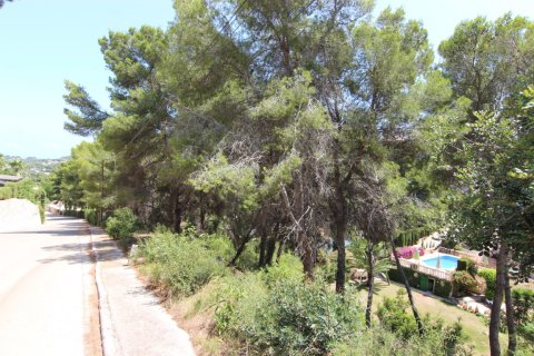 Działka w Javea, Alicante, Hiszpania nr 183863