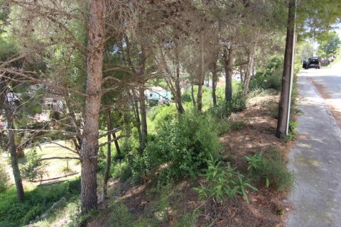Działka w Javea, Alicante, Hiszpania nr 183863 – zdjęcie 3