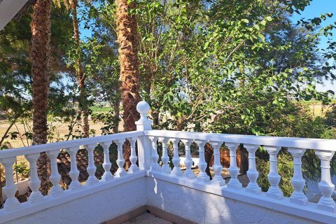 Продажа финки Аликанте, Испания 5 спален, 235м2 №115434 - фото 16