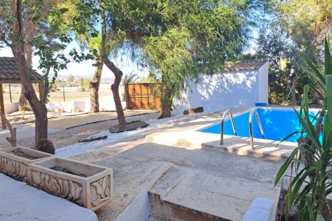 Продажа финки Аликанте, Испания 5 спален, 235м2 №115434 - фото 6